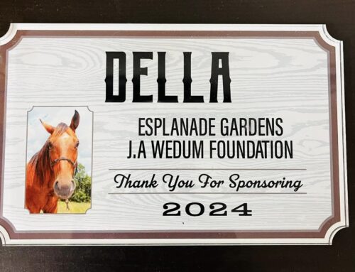 Meet Della – Esplanade Gardens along with the J.A. Wedum Foundation donated $5000 to sponsor Della at Morgan’s Camp. We took a field trip to Meet Della and the wonderful staff at Morgan’s camp! It was a amazing day!